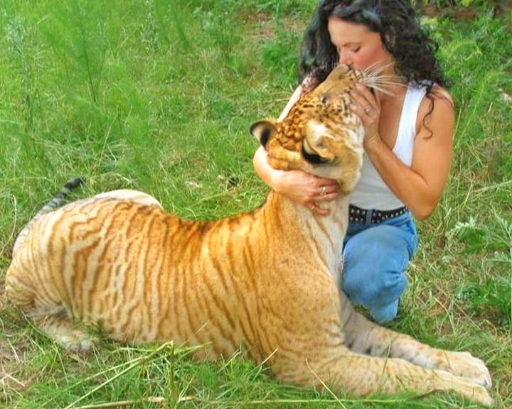 Rajani Ferrante with Hercules the liger when he was a small cub.