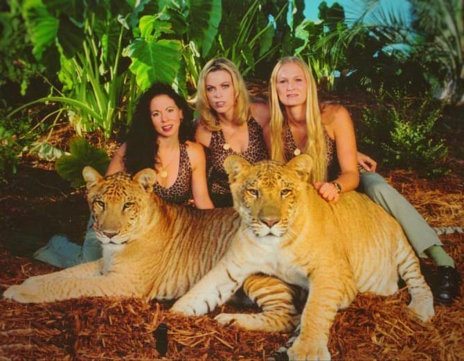 Liger Cubs at Myrtle Beach Safari have also been very healthy.