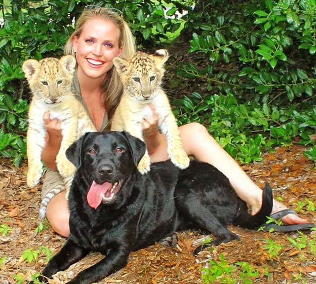 Moksha Bybee caring liger cubs at Myrtle Beach Safari.