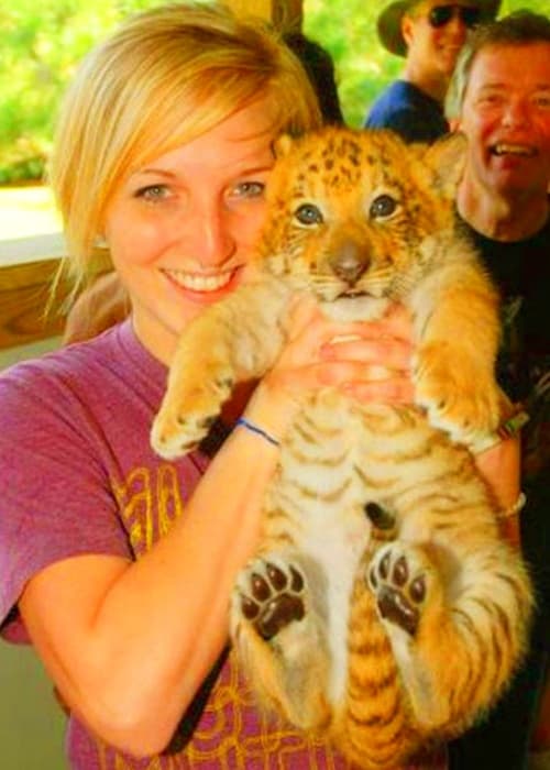 A liger cub at Myrtle Beach Safar, South Carolina, USA.