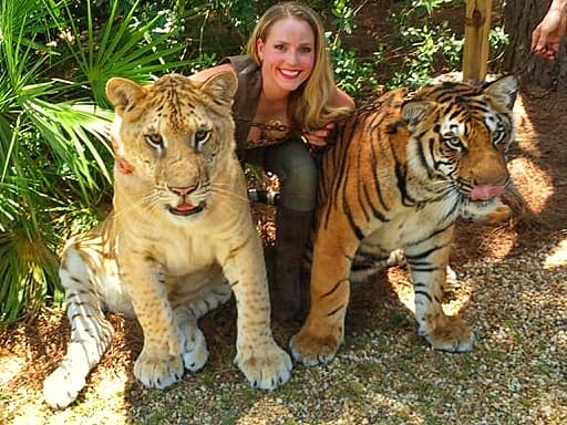 Fur colors of liger cubs and tiger cubs.
